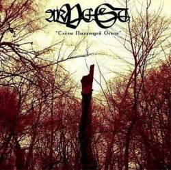 Sliez Plaiouchtchiey Aseni